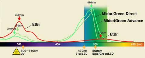 MIDORI Green Advance-2.png