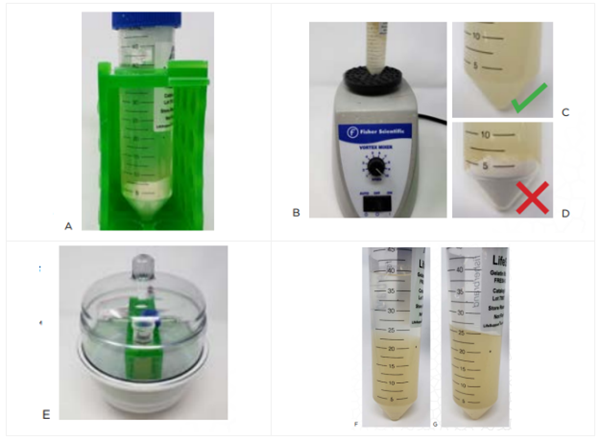 用于FRESH? 3D生物打印的支持漿料