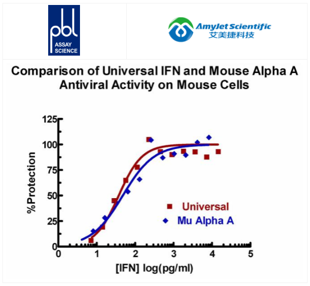 人干擾素 α 蛋白家