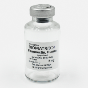 人纖維連接蛋白