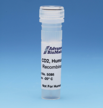 人重組CD2