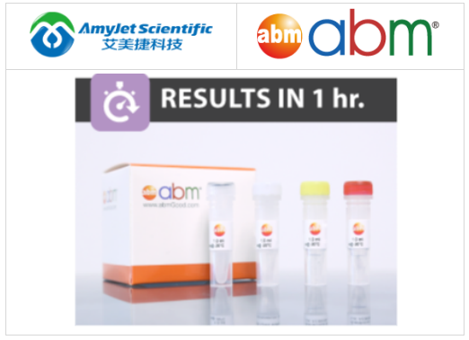 Abm-qPCR 逆轉(zhuǎn)錄病毒滴度試劑盒