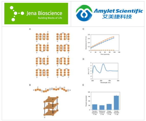 JenaBioscience NTP Bundle