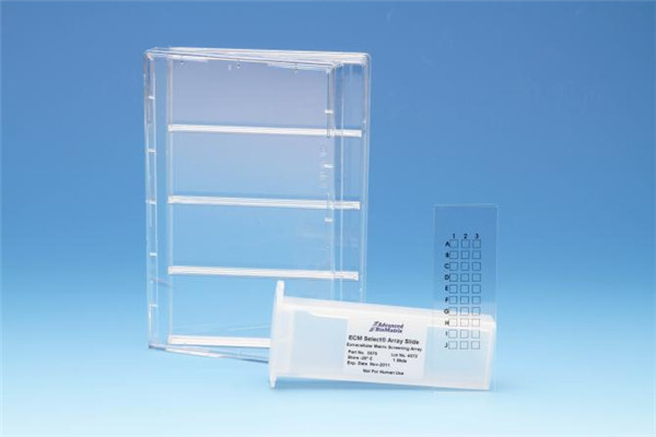 細胞外基質(zhì)（ECM）蛋白篩選試劑盒