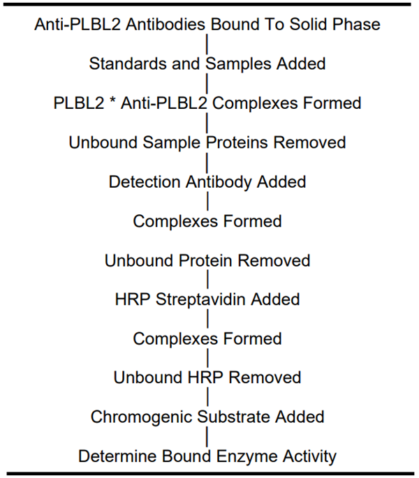 CHO PLBL2 ELISA-1.png