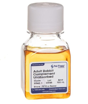 未經(jīng)吸附的成年兔補體