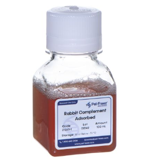 吸附的成年兔補(bǔ)體