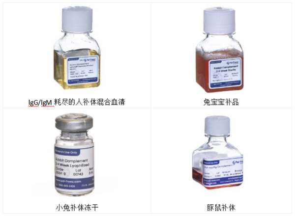 吸附的成年兔補(bǔ)體