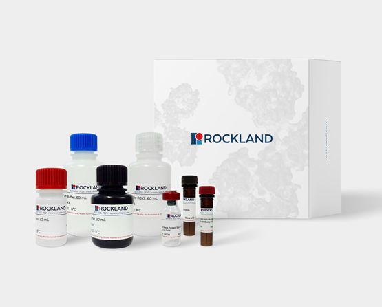 Accusnignal核酸酶殘留試劑盒