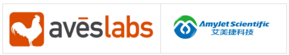 Aves Labs