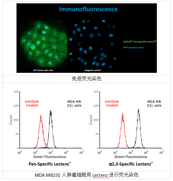 糖檢測(cè)試劑 (SiaFind) & 富集試劑盒