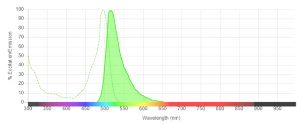 異硫氰酸熒光素