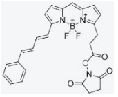 BODIPY 581/591 琥珀酰亞胺酯