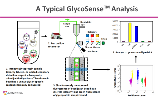 GlycoSense Array Kit-1.png