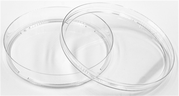 collagen protein-1.png