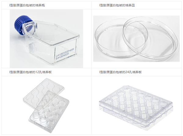 膠原蛋白包被培養(yǎng)板