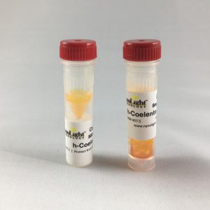 腔腸素h(Coelenterazine h)