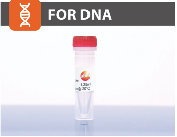 脂質(zhì)體轉(zhuǎn)染試劑