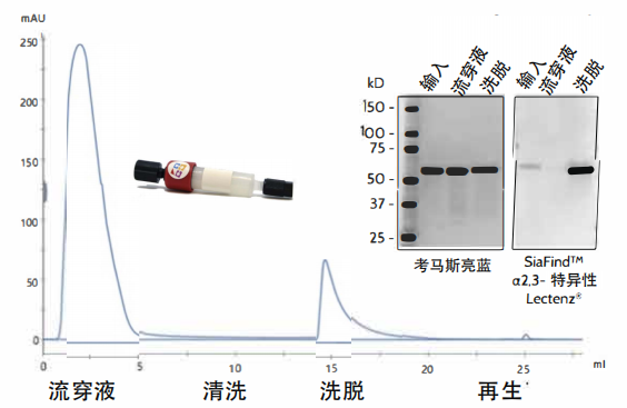 SiaRich α2,3-特異性柱