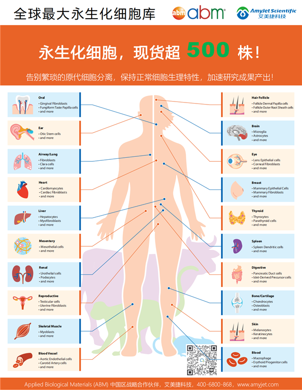 Immortalized Cells-4.png