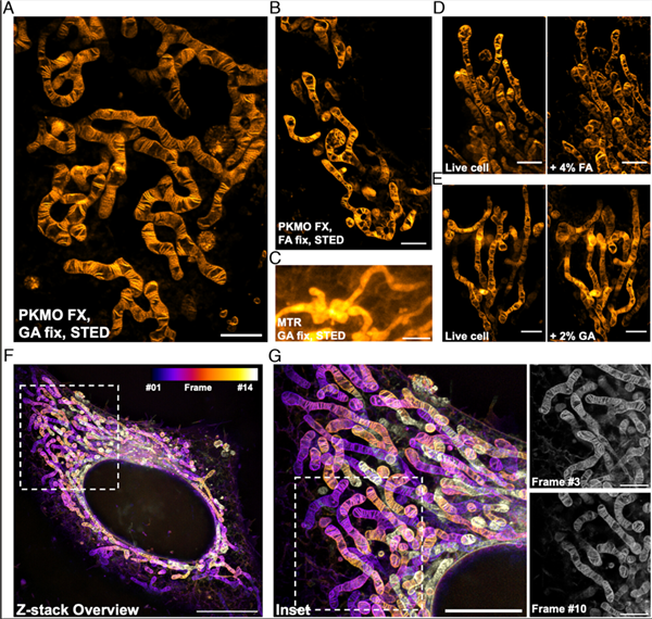 成像結(jié)果賞析