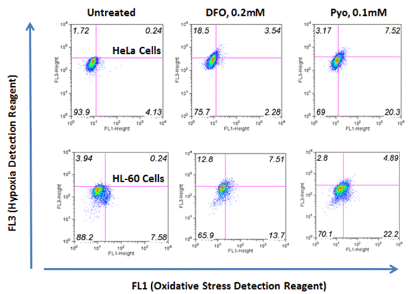 ROS-ID缺氧/氧化應(yīng)激檢測試劑盒