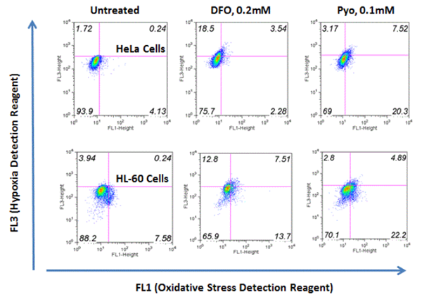 ROS-ID缺氧/氧化應(yīng)激檢測試劑盒