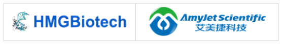 HMGBiotech-P-MHMG1質(zhì)粒