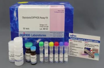  GERBU糖酵解/OXPHOS檢測(cè)試劑盒