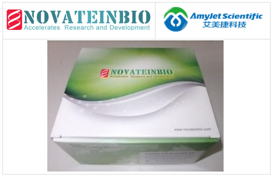 人生長分化因子11 GDF11 ELISA試劑盒