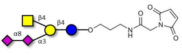 連接至馬來(lái)酰亞胺的GD2神經(jīng)節(jié)苷脂寡糖