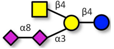 GD2神經節(jié)苷脂寡糖