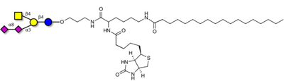 連接生物素和硬脂酸鏈的GD2神經(jīng)節(jié)苷脂寡糖