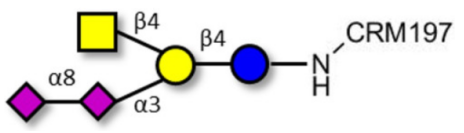 GD2神經(jīng)節(jié)苷脂寡糖接枝