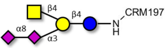 GD2神經(jīng)節(jié)苷脂寡糖接枝