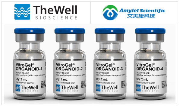 類器官培養(yǎng)水凝膠