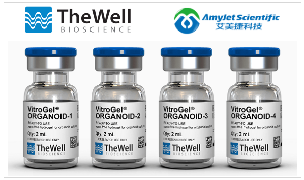 類器官培養(yǎng)水凝膠