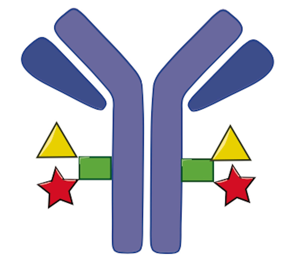 微生物谷氨酰胺轉(zhuǎn)氨酶,