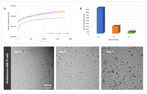 TheWell Bioscience-VitroGel高濃度水凝膠的D特之處在于，它能夠通過(guò)混合不同類(lèi)型的VitroGel來(lái)定制創(chuàng)建多功能水凝膠。