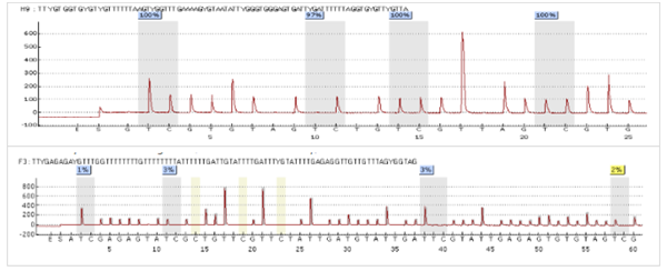 甲基化基因組DNA對(duì)照