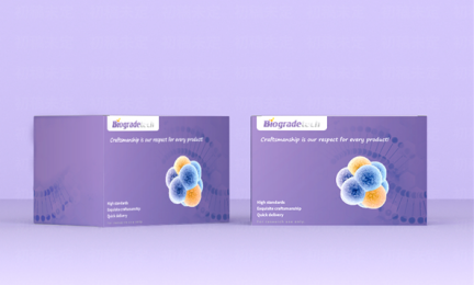 Cardiolipin瓊脂糖珠