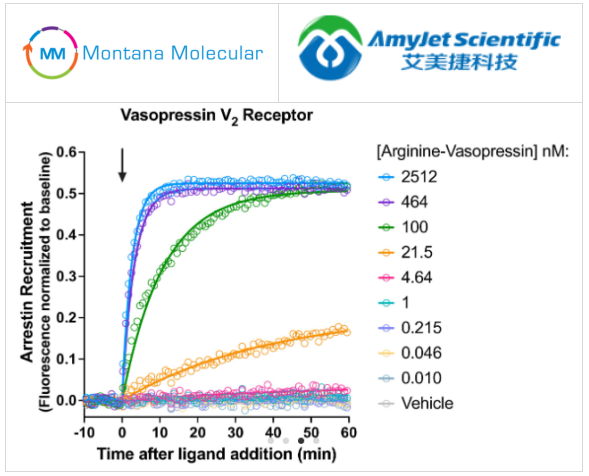 Montana Molecular