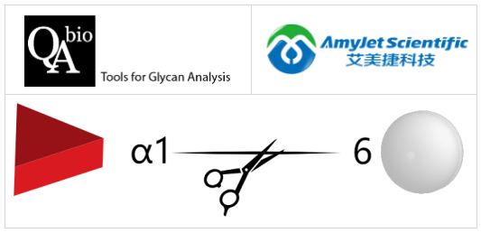 α-（1-6）巖藻糖苷酶
