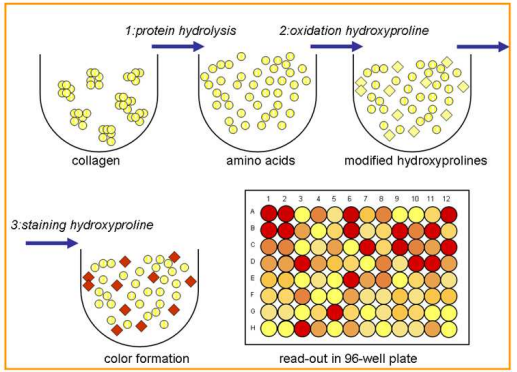 QuickZyme Biosciences