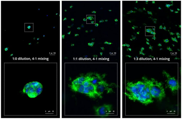 VitroGel 3D - RGD-1.png