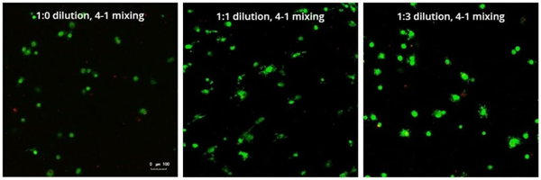 VitroGel 3D - RGD-2.png