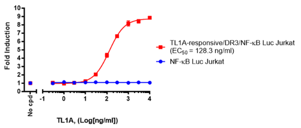 與不表達(dá)DR3的陰性對(duì)照細(xì)胞系相比