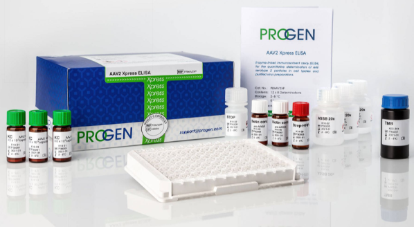 AAV定量