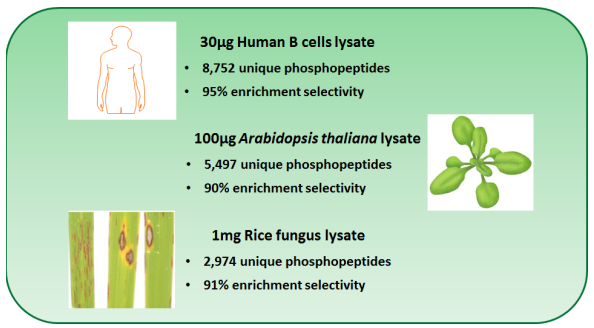 PolyMAC Ti磷酸肽富集試劑盒