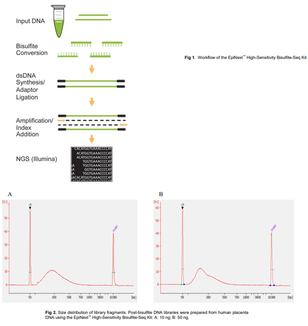 亞硫酸氫鹽測序試劑盒